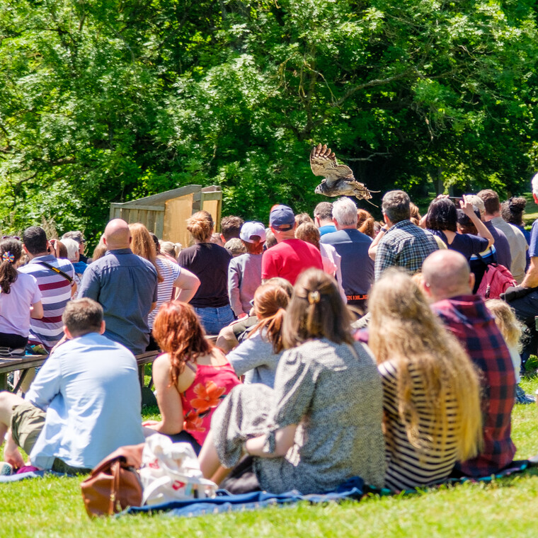 UK May '22 - The Castle (Warwick) 043.jpg